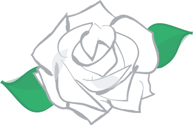 白いバラ のイラスト素材 かな絵箱