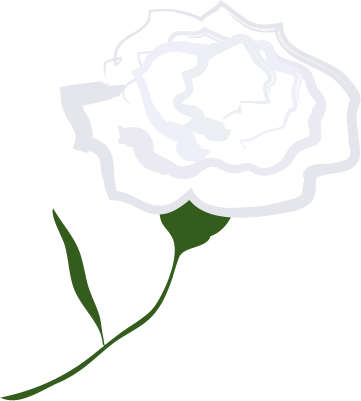 一輪の白いバラ のイラスト素材 かな絵箱